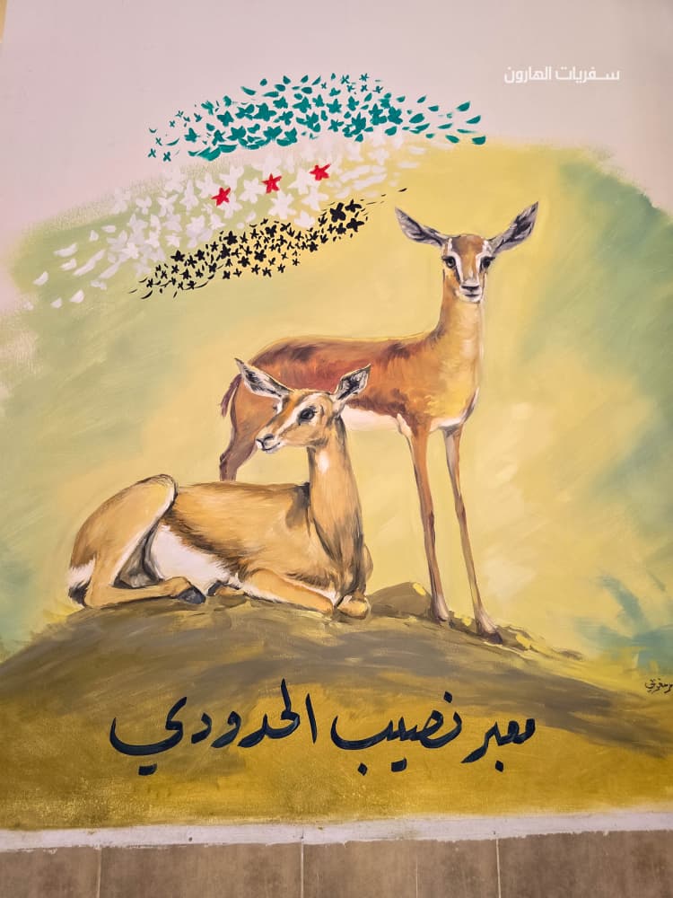 WhatsApp Bild 2025 09 08 um 09.04.12 c853b472